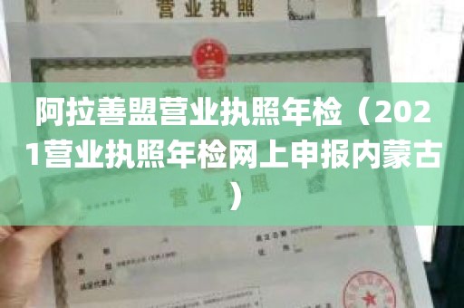 阿拉善盟营业执照年检（2021营业执照年检网上申报内蒙古）