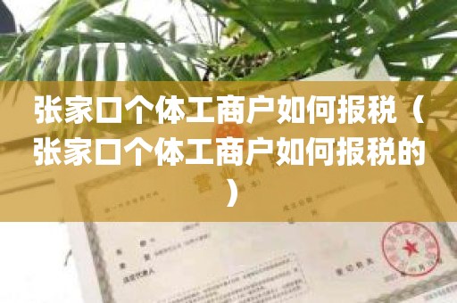 张家口个体工商户如何报税（张家口个体工商户如何报税的）