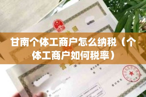 甘南个体工商户怎么纳税（个体工商户如何税率）