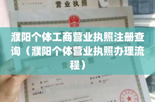 濮阳个体工商营业执照注册查询（濮阳个体营业执照办理流程）