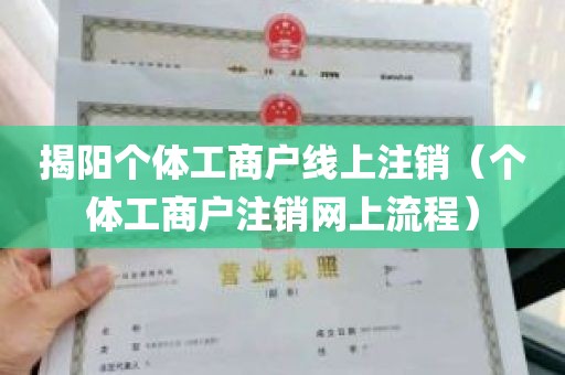 揭阳个体工商户线上注销（个体工商户注销网上流程）