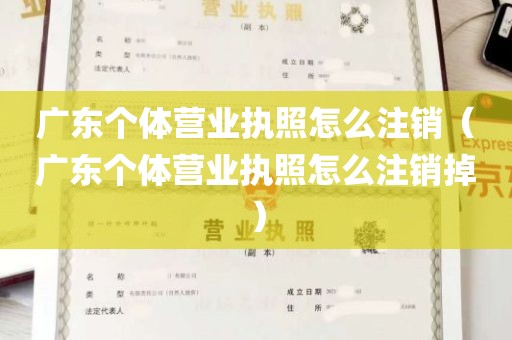 广东个体营业执照怎么注销（广东个体营业执照怎么注销掉）