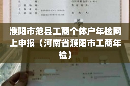 濮阳市范县工商个体户年检网上申报（河南省濮阳市工商年检）