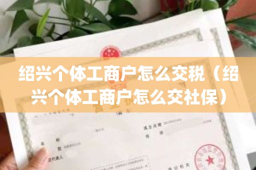 绍兴个体工商户怎么交税（绍兴个体工商户怎么交社保）