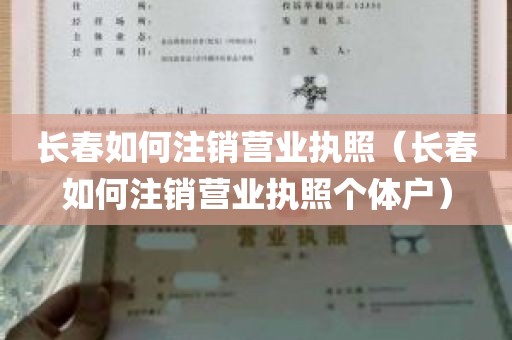 长春如何注销营业执照（长春如何注销营业执照个体户）