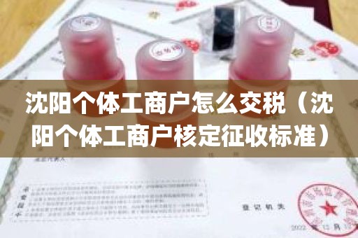 沈阳个体工商户怎么交税（沈阳个体工商户核定征收标准）