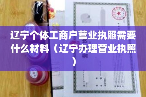 辽宁个体工商户营业执照需要什么材料（辽宁办理营业执照）