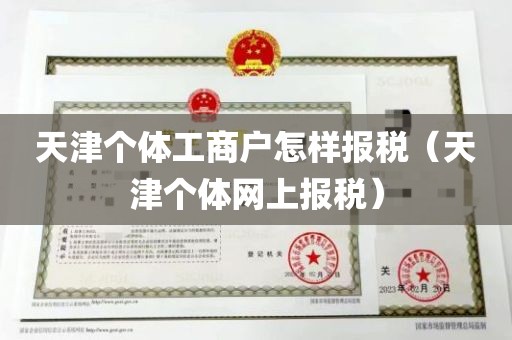 天津个体工商户怎样报税（天津个体网上报税）