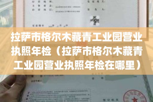 拉萨市格尔木藏青工业园营业执照年检（拉萨市格尔木藏青工业园营业执照年检在哪里）