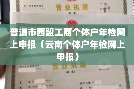 普洱市西盟工商个体户年检网上申报（云南个体户年检网上申报）