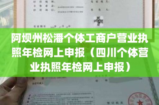 阿坝州松潘个体工商户营业执照年检网上申报（四川个体营业执照年检网上申报）