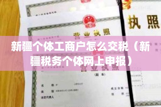 新疆个体工商户怎么交税（新疆税务个体网上申报）