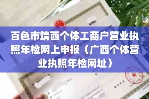 百色市靖西个体工商户营业执照年检网上申报（广西个体营业执照年检网址）