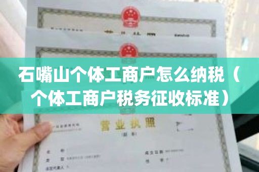 石嘴山个体工商户怎么纳税（个体工商户税务征收标准）