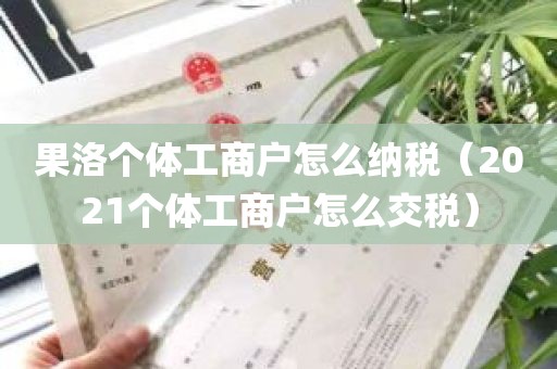 果洛个体工商户怎么纳税（2021个体工商户怎么交税）