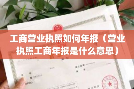 工商营业执照如何年报（营业执照工商年报是什么意思）