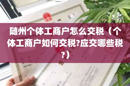 随州个体工商户怎么交税（个体工商户如何交税?应交哪些税?）