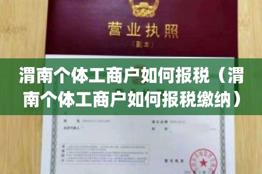 渭南个体工商户如何报税（渭南个体工商户如何报税缴纳）