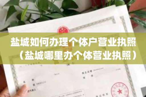 盐城如何办理个体户营业执照（盐城哪里办个体营业执照）